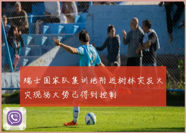 瑞士国家队集训地附近树林突发火灾现场火势已得到控制